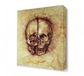 Skull Da Vinci Çizim Anatomi Canvas Tablo - 1