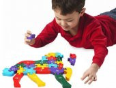 Ahşap Puzzle (Hayvanlar Alemi) - 3