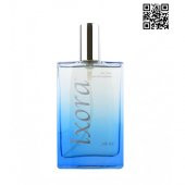 ixora Hector Erkek Parfüm E266 100ml - 1