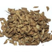 Toros Sediri Tohumu 40 Gr(500 Adet) Sedir Ağacı Tohumu Çam Ağacı Tohumu Lübnan Sediri Tohumu - 1