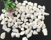 Beyaz Dolomit Taş 1 Kg 1,5-2,5 Cm Beyaz Dolamit Taşı Dere Taşı Çakıl Taşı Doğal Taş Bahçe Süs Taşı Dekor Taşı Dekoratif Taş - 1