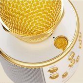 WSTER WS-858 ORJİNAL BLUETOOTH KARAOKE MİKROFON USB-SD KART-RADYO - PEMBE RENGİ - 4