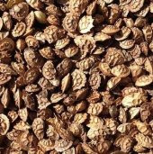 Korunga Yem Bitkisi Tohumu  10 Kg   Onorbrychis Sativa Yem Bitkileri Korunga Tohumu Yem Bitkisi - 3