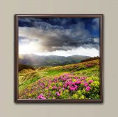 ÇERÇEVELİ TABLO - 1