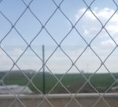 Kuş Filesi 10x8=80 m2 Kuş Ağı Balkon Ağı Balkon Filesi Güvercin Ağı Güvercin Filesi Kuş Önleme Filesi Güvercin Önleme Filesi - 6