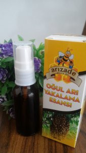 Ana Arı Kokusu Oğul Yakalama Esansı 20 ml 2 Adet Oğul Çekme Esansı Oğul Esansı Arı Yakalama Esansı - 2