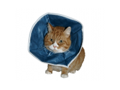 Kedi Yakalığı - 1