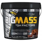 BigJoy Sports BigMass GH Factors 5000 Gr Karbonhidrat Tozu Gainer Big Joy - 2