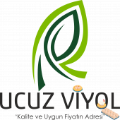 10 LU KARTON KAPAKLI YUMURTA VİYOLÜ 240 ADET - 8