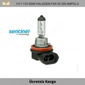 H11 Halogen Far ve Sis Ampülü 12V 55W - 1