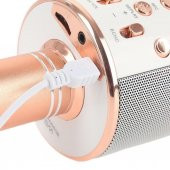 Sihirli Karaoke Bluetooth Mikrofon Sd Card Mikrofonu - 6