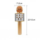 Sihirli Karaoke Mikrofon Bluetooth Sd Card Mikrofonu - 2