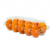 10 LU PLASTİK KAPAKLI YUMURTA VİYOLÜ thumbnail 1