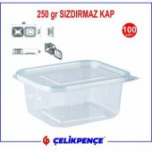 250 gr. Plastik Sızdırmaz Kap 100 Adet - 2