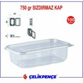 750 gr. Plastik Sızdırmaz Kap 100 Adet - 2