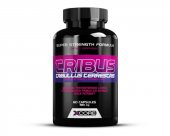 Xcore Nutrition Tribulus 60 kapsül - 1
