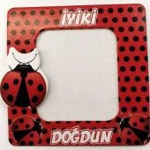 25 Adet Uğur Böceği Magnet Doğum Günü Parti Hediyelik - 1