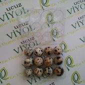 BILDIRCIN YUMURTA VİYOLU 1500 ADET - 1