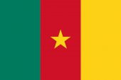 Kamerun 15x22,5 Masa Bayrağı (Direksiz) - 1
