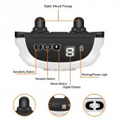 Petainer PB10 Havlama Önleyici Köpek Eğitim Tasması - 3