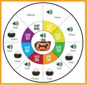 Köpek Havlama Tasması Petainer 681s - 4