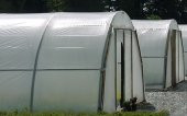 Sera Naylonu 14x5=70 m2 36 Aylık Sera Örtüsü Şeffaf Sera Naylonu  Plastik Sera Naylonu - 1