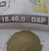 Dap Gubre 25 Kg Fosfor Gübre Dap Taban Gübresi Taban Altı Gübre - 3