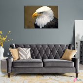 Kartal 3 Yağlı Boya Sanat Kanvas Tablo - 3