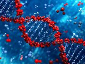 İnsan Dna Dizilimi Genetik Fantastik Dekoratif Canvas Tablo - 3