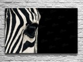 Zebra Gözü Arttablo Kanvas Tablo - 1