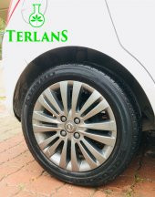 TERLANS 3 lü Araç Bakım Seti İç Temizlik - Lastik Parlatıcı - Hızlı Cila - 5