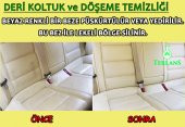 TERLANS Araç içi & Koltuk Halı Temizleyici ve Leke Sökücü 500 Ml - 2