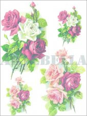 Kolay Transfer 1147k Opak 17x24cm - 2