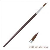 21453sulu Boya Fırçası Renkli Sap At Kılı - 1
