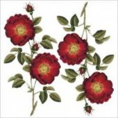 1808v Artebella Kolay Kumaş Transfer Açık Zemin - 1