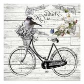 Kolay Transfer 5819v Home Design Transparan 25x25 cm - 2
