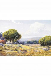 Kolay Transfer 1388v Transparan 23x34cm - 2