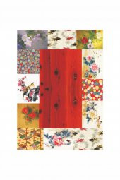 Kolay Transfer 1634v Transparan 35x50cm - 2