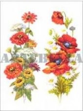 Kolay Transfer 1327v Transparan 23x34cm - 1