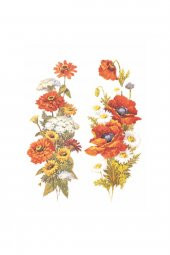 Kolay Transfer 1327v Transparan 23x34cm - 2