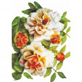 Kolay Transfer 1264v Transparan 17x24cm - 2