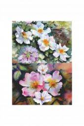 Kolay Transfer 1408v Transparan 23x34cm - 2