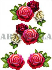 Kolay Transfer 1257v Transparan 17x24cm - 1