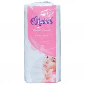 Aslanlı İdrofil Pamuk 100 Gr Paket Cotton Wool - 4