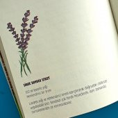 Meraklı Defter - 8