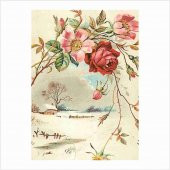Kolay Transfer 1299v Transparan 17x24cm - 1
