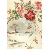 Kolay Transfer 1299v Transparan 17x24cm - 2