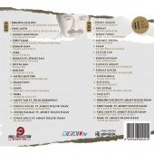 AHMET SELÇUK İLKAN - UNUTULMAYAN ŞARKILAR VOL.2 (2 CD) - 2