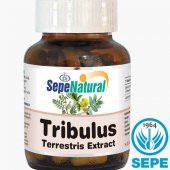 Tribulus Extract 90 Kapsül 480 mg Demir Dikeni Ekstrakt Ekstre - 1