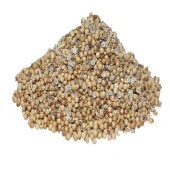 Doğan Kişniş Doğal Tane 1000 Gr Paket - 5